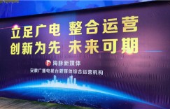 成为2019中国（合肥）融媒体文化创新大会接待用车，TA凭的是啥？