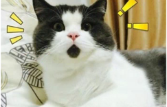 雨季分手多发，竟是因为没有他！