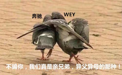 第一新车 第一新车