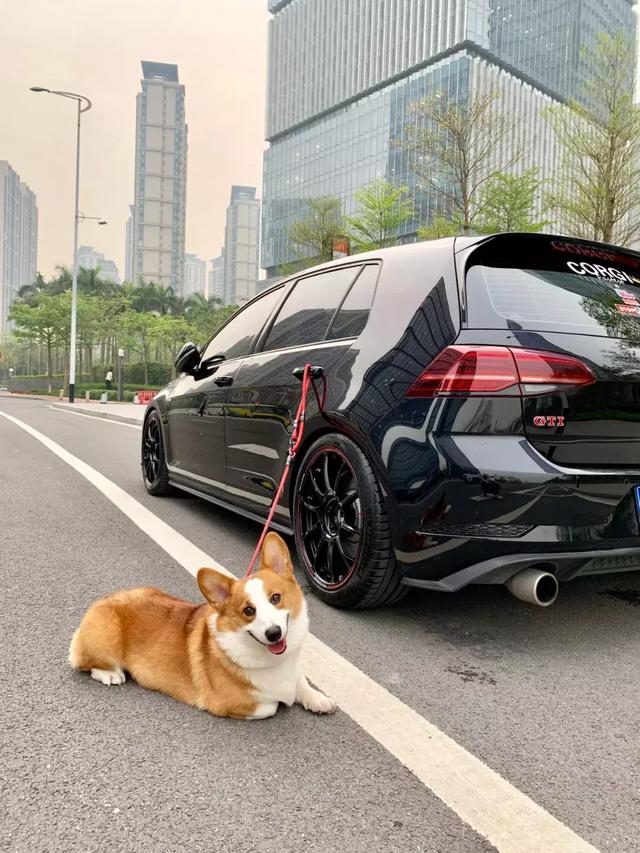 第一新车 第一新车