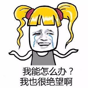第一新车 第一新车