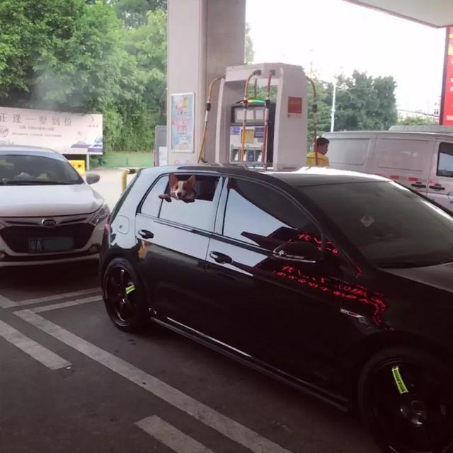 第一新车 第一新车