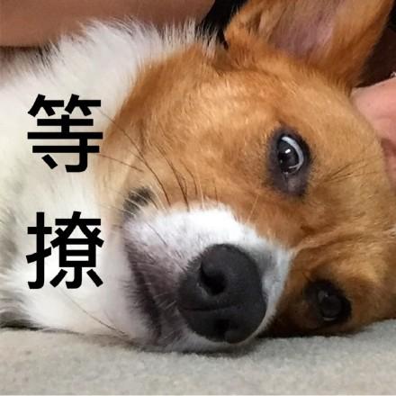 第一新车 第一新车