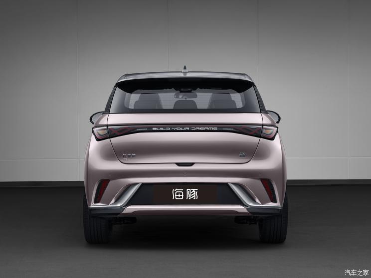 比亚迪 海豚 2021款 基本型 比亚迪 海豚 2021款 基本型