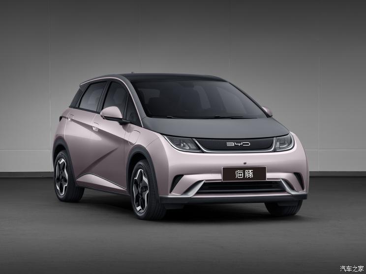 比亚迪 海豚 2021款 基本型 比亚迪 海豚 2021款 基本型