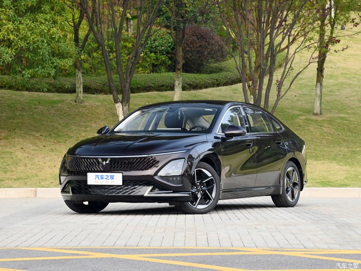 上汽通用五菱 五菱星光 2024款 插电高配 上汽通用五菱 五菱星光 2024款 插电高配