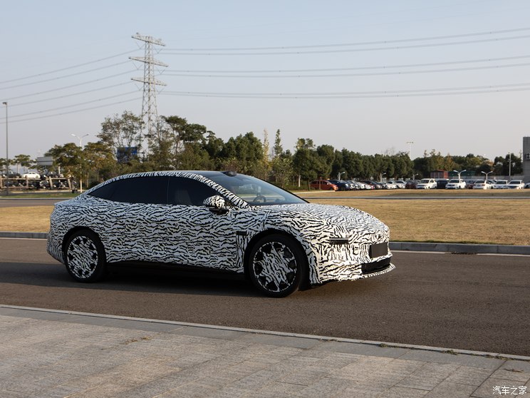 极氪 极氪CS1E 2024款 基本型 极氪 极氪CS1E 2024款 基本型