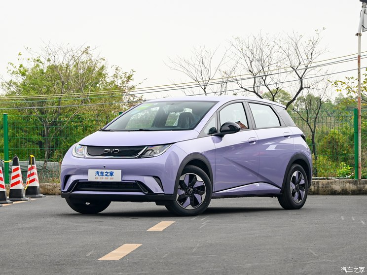 比亚迪 海豚 2024款 荣耀版 420km 自由版 比亚迪 海豚 2024款 荣耀版 420km 自由版